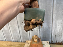 Load image into Gallery viewer, Trident Maple #45