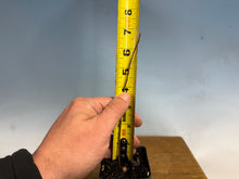 Load image into Gallery viewer, Pourthiaea Villosa, Kamatuka, Christmas Berry