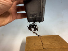 Load image into Gallery viewer, Pourthiaea Villosa, Kamatuka, Christmas Berry