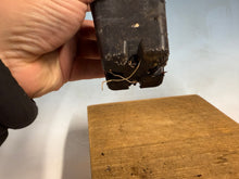 Load image into Gallery viewer, Japanese Gardenia