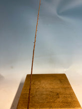 Load image into Gallery viewer, Bald Cypress Bare Root-Large Size 12-20”