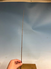 Load image into Gallery viewer, Bald Cypress Bare Root-Large Size 12-20”