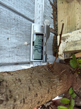 Load image into Gallery viewer, Chinese Elm #2
