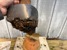Load image into Gallery viewer, Trident Maple #26
